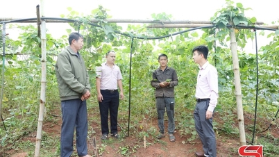 Politikai hitel - a szegény háztartások jövedelmének növelése