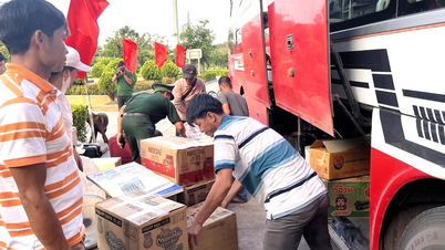 تبلغ مكافحة التهريب والاحتيال التجاري ذروتها بمناسبة رأس السنة القمرية الجديدة 2026