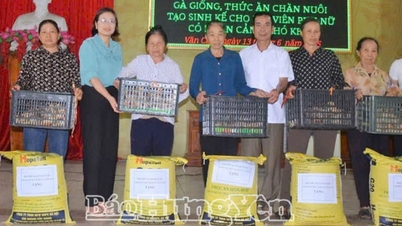 Σύνδεση και κινητοποίηση κοινωνικών πόρων για τη φροντίδα φτωχών νοικοκυριών