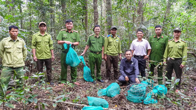 Джиа Лай: выпуск 8 редких животных в дикую природу