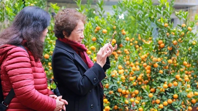 Nordul ar putea experimenta temperaturi extrem de scăzute în timpul Anului Nou Lunar 2026