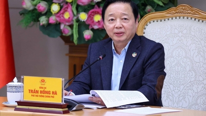 Chính phủ bàn giải pháp rút ngắn quy trình, mở rộng đối tượng mua nhà ở xã hội