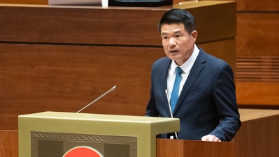 Ogranicz niesprawiedliwość, błędy i wypuszczanie przestępców na wolność