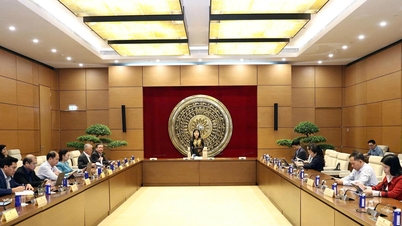 Elimină obstacolele pentru întreprinderi, dar trebuie să păstreze bugetul pentru rambursările de TVA