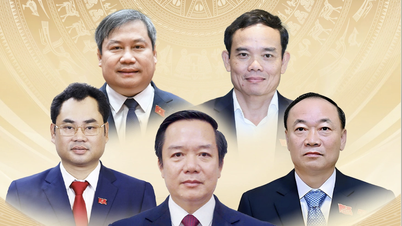 প্রাদেশিক এবং পৌর নেতাদের বিশেষত্ব হল তারা স্থানীয় মানুষ নন।