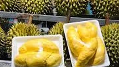 Precio de mercado al 8 de diciembre de 2025