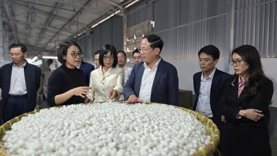 ທ່ານ​ປະ​ທານ​ຄະ​ນະ​ກຳ​ມະ​ການ​ປະ​ຊາ​ຊົນ​ແຂວງ ຟ້າ​ມ​ແອງ​ຕວນ ໄດ້​ໄປ​ຢ້ຽມ​ຢາມ​ບໍ​ລິ​ສັດ​ຫຸ້ນ​ສ່ວນ Ham Rong Silk ແລະ ກວດ​ກາ​ຄວາມ​ຄືບ​ໜ້າ​ການ​ກໍ່​ສ້າງ​ເສັ້ນ​ທາງ ຫງວຽນ​ວັນ​ລິງ.