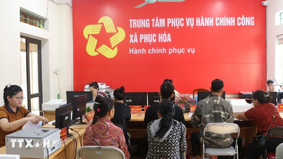 村、区、特別区の人民委員会のモデル業務規則の公布