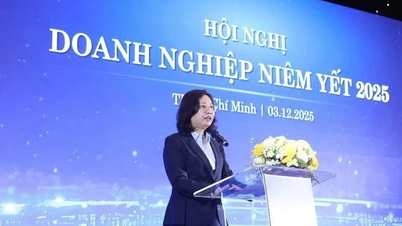 VLCA 2025: Noi standarde pentru companiile listate pe piețele emergente