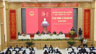 লাম ডং প্রাদেশিক গণ পরিষদ ২০২৫ সালের শেষে তার নিয়মিত অধিবেশন শুরু করবে