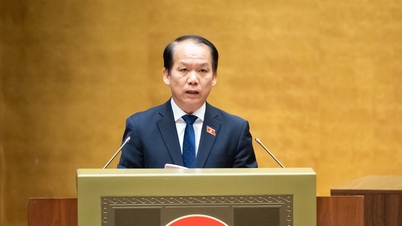 行政上の裁定や決定が取り消されたり、変更されたりする割合は依然として高い。