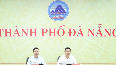 প্রধানমন্ত্রী ফাম মিন চিন: প্রাকৃতিক দুর্যোগে ক্ষতিগ্রস্ত মানুষের জন্য ঘর নির্মাণ ও মেরামতের কাজ দ্রুত করুন