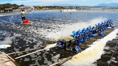 Tarımda KDV sorunlarının ortadan kaldırılması