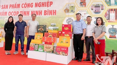 تعزيز المنتجات الصناعية الريفية النموذجية