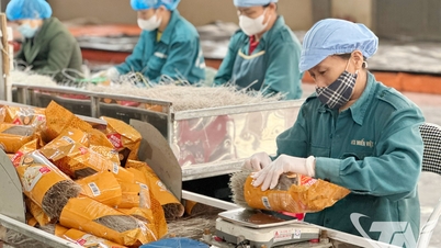 PCI - القوة الدافعة لتعزيز القدرة التنافسية للمنتجات الزراعية