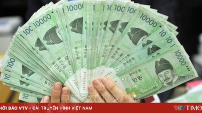 កូរ៉េខាងត្បូងអនុញ្ញាតឱ្យផ្ញើប្រាក់ទៅក្រៅប្រទេសរហូតដល់ 100,000 ដុល្លារ