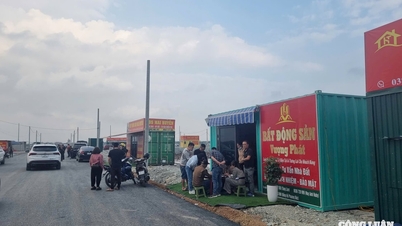 كيم سون (نينه بينه): ارتفعت أسعار الأراضي المعروضة في المزاد إلى 28 مليون دونج/متر مربع، وأنشأ السماسرة مكاتب في كل مكان