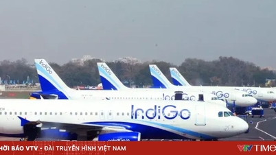 Индийская авиация в хаосе из-за кризиса IndiGo