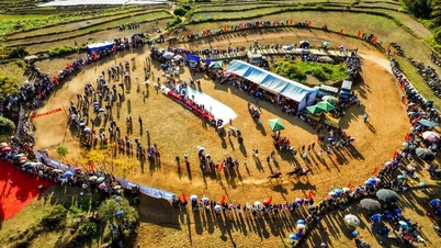 Xem ngựa thồ không yên tung vó trên rẻo cao Tả Lèng