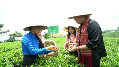 Η γυναίκα που «ανάβει τη φωτιά» για τον αγροτουρισμό