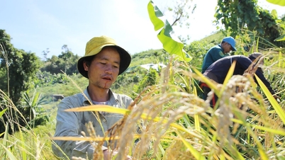Οι κάτοικοι του Ca Dong συμμετέχουν στο νέο φεστιβάλ ρυζιού