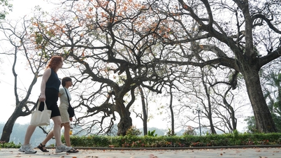 Ταξιδιωτικές τάσεις στο Βιετνάμ 2026: Η πρόσβαση σε βίζα, οι οικονομικές διαμονές και τα ταξίδια με γνώμονα τον πολιτισμό διαμορφώνουν τη χρονιά που έρχεται