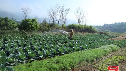 송마, 겨울작물 재배로 전환해 소득 증대