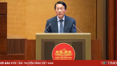 Pada tahun 2025, kejahatan berbahaya akan menurun tajam, dan tingkat penyelesaian kasus akan melampaui target.