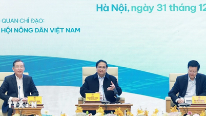 Lebih dari 5.000 komentar dikirimkan ke Konferensi Perdana Menteri tentang Dialog dengan Petani pada tahun 2025