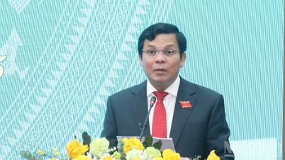 Quang Ngai, melalui banyak mekanisme dan kebijakan spesifik, berkontribusi dalam mengatasi hambatan utama.