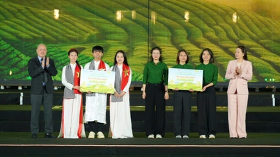 Osvětlení podnikatelského myšlení v závěrečném kole soutěže Gen Tea 2025