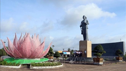 В период войны сопротивления Камау признал еще 22 коммуны и округа безопасными зонами.