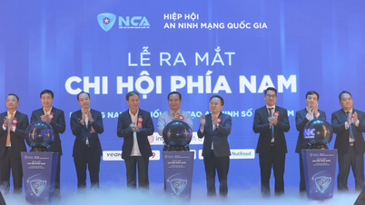 Die National Cyber ​​Security Association hat eine südliche Niederlassung.