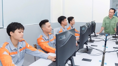 কলেজ স্তরে প্রশিক্ষণের জন্য বিশ্ববিদ্যালয় পরিকল্পনা: ব্যাপকভাবে মেজর খোলার উদ্বেগ, অনুশীলনের অভাব