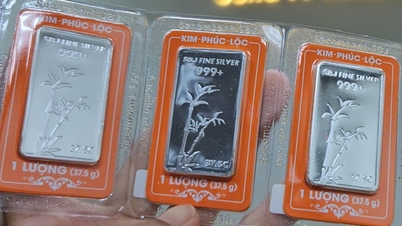 Preço da prata hoje, 9 de dezembro: atingiu um novo pico, alcançando um nível sem precedentes.