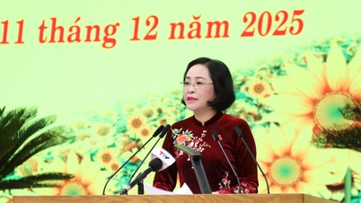 Consolidarea rolului și responsabilității Consiliului Popular, transformând Tuyen Quang într-o destinație atractivă, cu o poziție și o reputație demne de luat în seamă.