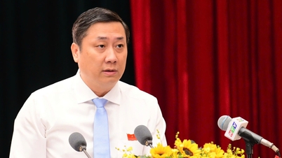 ক্যাট লাই সেতু প্রকল্প, ডং নাই ২ বাস্তবায়নের জন্য কর্তৃপক্ষের অনুমোদনের জন্য হো চি মিন সিটি পিপলস কাউন্সিলে জমা দিন।