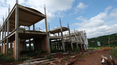 খনিজ পরিকল্পনার অপ্রতুলতায় লাম ডং ভোটাররা ক্ষুব্ধ