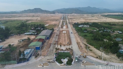 Лам Донг: коммуна Тан Минь стремится к зеленому развитию