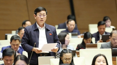 נדרשים פתרונות חזקים כדי לעצור פשעי הונאה בתחום ההיי-טק