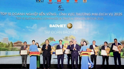 حصلت مجموعة باو فيت على لقب نجم CSI