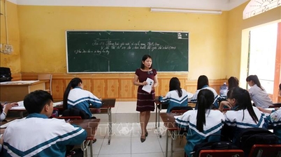 Duy trì ổn định nhu cầu dạy và học sau sắp xếp đơn vị sự nghiệp công lập ngành Giáo dục