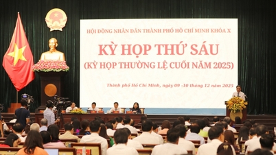 ホーチミン市、新たな時代における画期的な解決策を議論