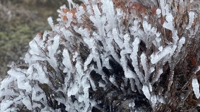 দক্ষিণ-মধ্য অঞ্চলে ভারী বৃষ্টিপাত হচ্ছে, উত্তরের পাহাড়ি অঞ্চলে ৫ ডিগ্রি সেলসিয়াসের নিচে ঠান্ডা অনুভূত হচ্ছে