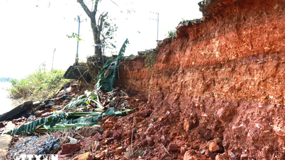 จังหวัดกวางตรี: เขื่อนแม่น้ำท่าจานหลายช่วงถูกกัดเซาะอย่างรุนแรง