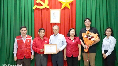 Dong Nai İli Kızılhaç Derneği, fırtına ve sellerden etkilenen insanlara destek olmak için 100 milyon VND aldı.