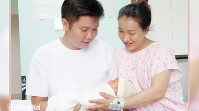 Dong Nai nüfus çalışmalarında pek çok önemli sonuca ulaştı.