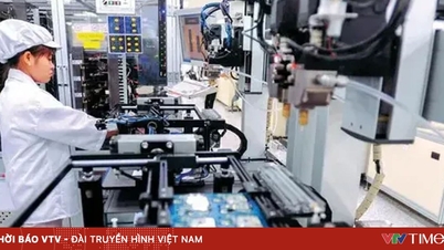 ベトナムの雇用の35%以上は世界のサプライチェーンに関連しています。