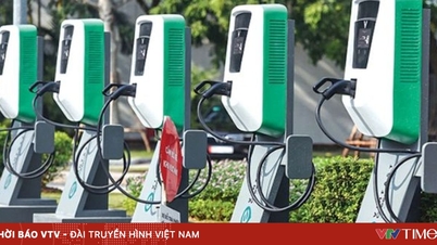 Oficialmente, existem regulamentações separadas sobre os preços da eletricidade para veículos elétricos.