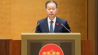 刑事裁判率は99％近くに達し、汚職財産の回収率は85.9％に達した。